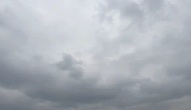 优化采购流程：渠道分销中的常见问题与应对策略